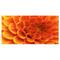 Designart - Large Orange Flower and Petals - Floral Canvas Art Print